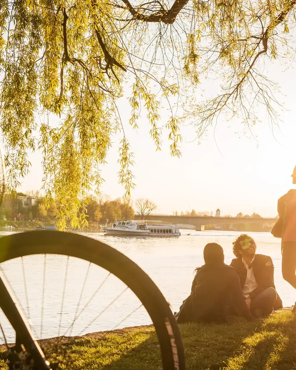 Radfahren am Bodensee