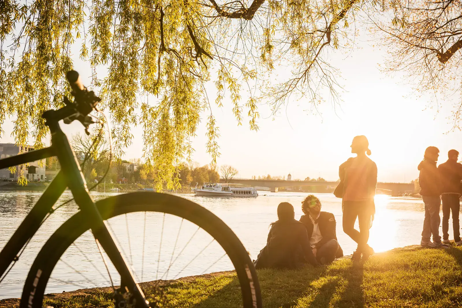 Radweg am Seerhein in Konstanz